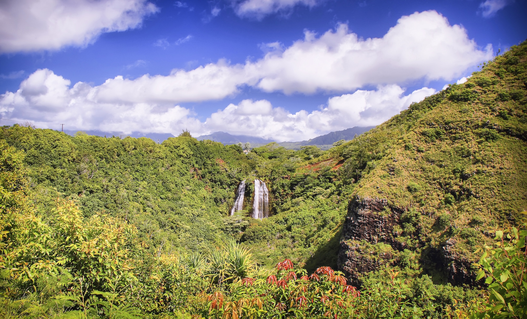 Wailua Homesteads Kauaʻi — mauka living on the East Side