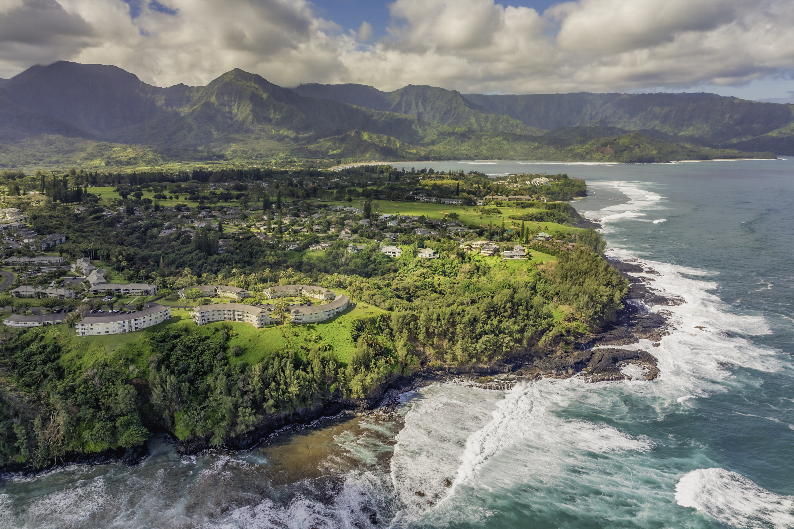 Can AI replace a real estate agent on Kauaʻi?